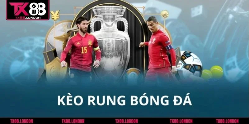 Chia sẻ 4 kinh nghiệm chơi kèo rung cực hay được cao thủ truyền lại