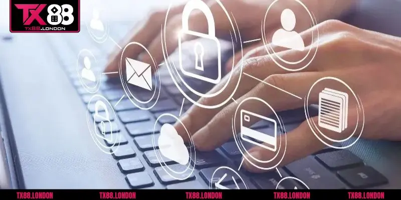 Những điểm nổi bật có trong quy định điều khoản và điều kiện